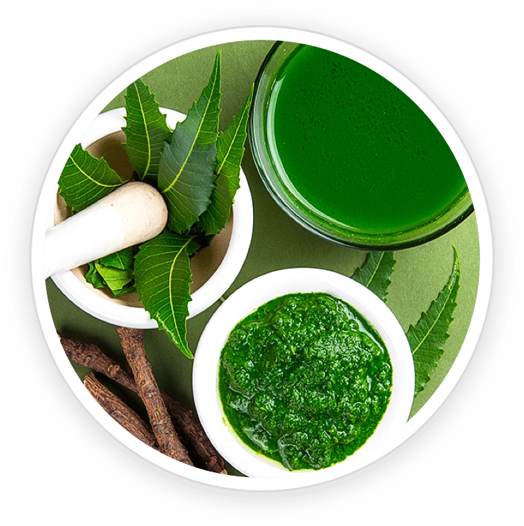 Neem – antioxidant benefits and immune support for prostate health